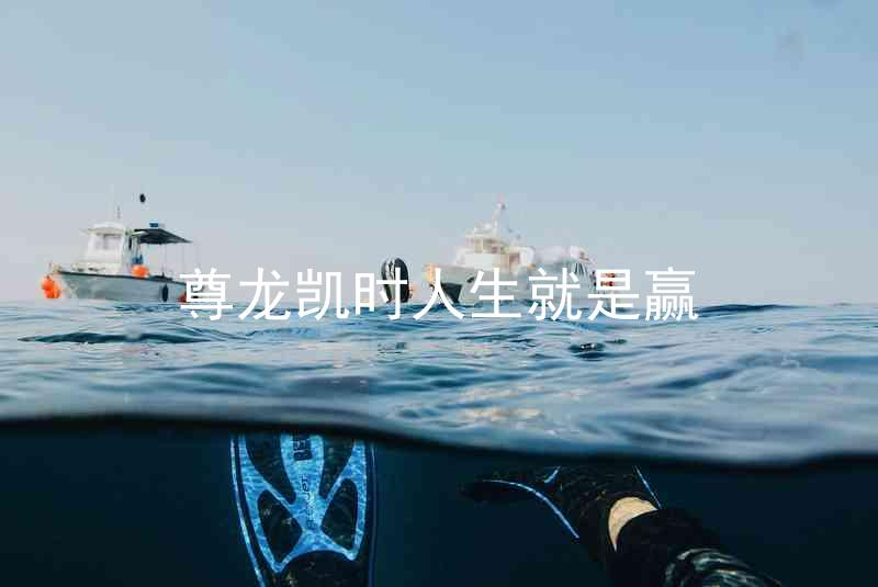 尊龙凯时人生就是赢