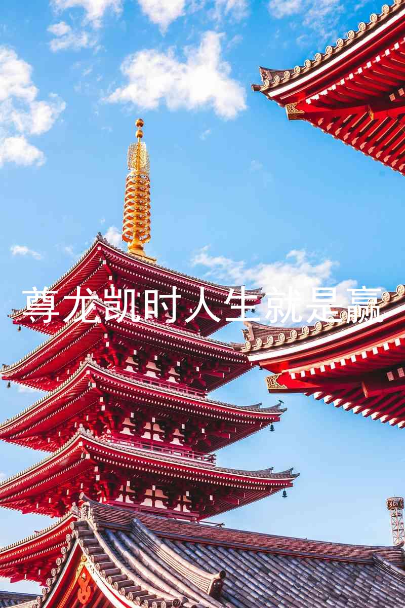 尊龙凯时人生就是赢