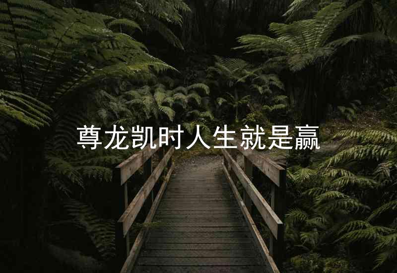 尊龙凯时人生就是赢