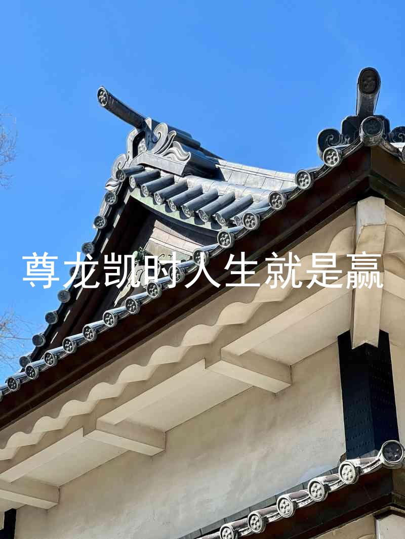 尊龙凯时人生就是赢